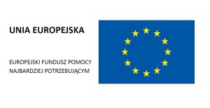 logo z flaga jpg